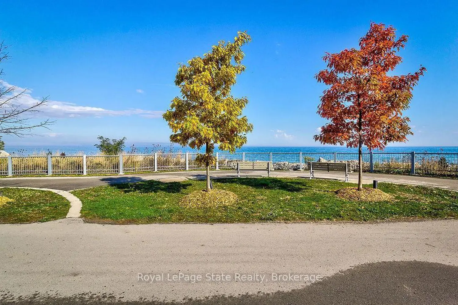 Additional image 16 of 301 Frances Avenue 704