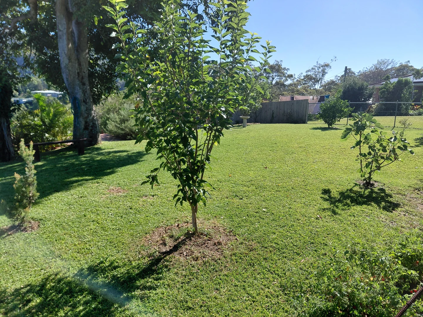 Additional image 25 of 10 Keilawarra Ridge, Coffs Harbour NSW 2450