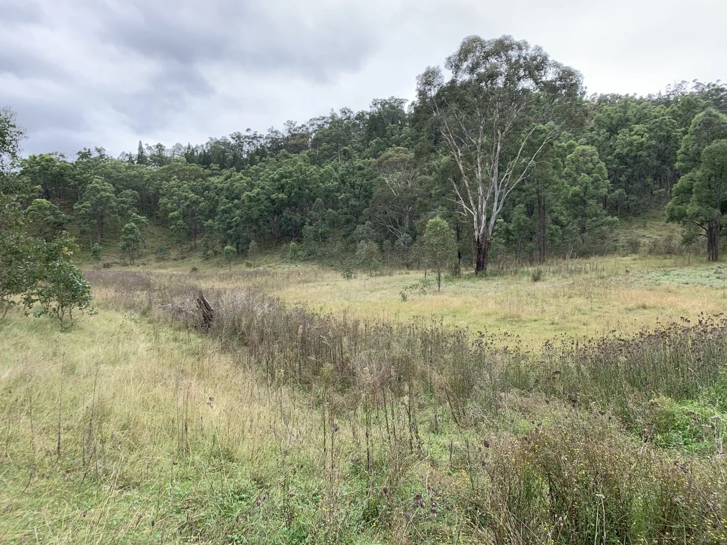 Additional image 11 of 2358 & 326 Port Macquarie Road, Rylstone NSW 2849