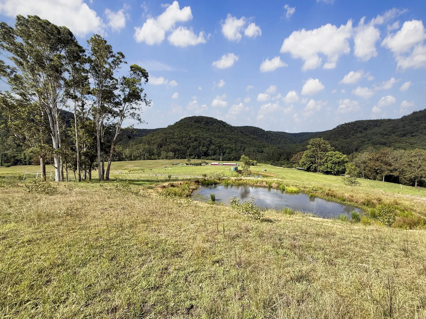 Additional image 10 of Lot 6 Paynes Crossing Rd, Paynes Crossing NSW 2325