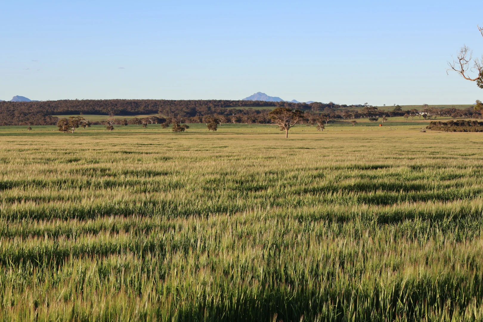 Additional image 17 of 491 Knight Road, Porongurup WA 6324