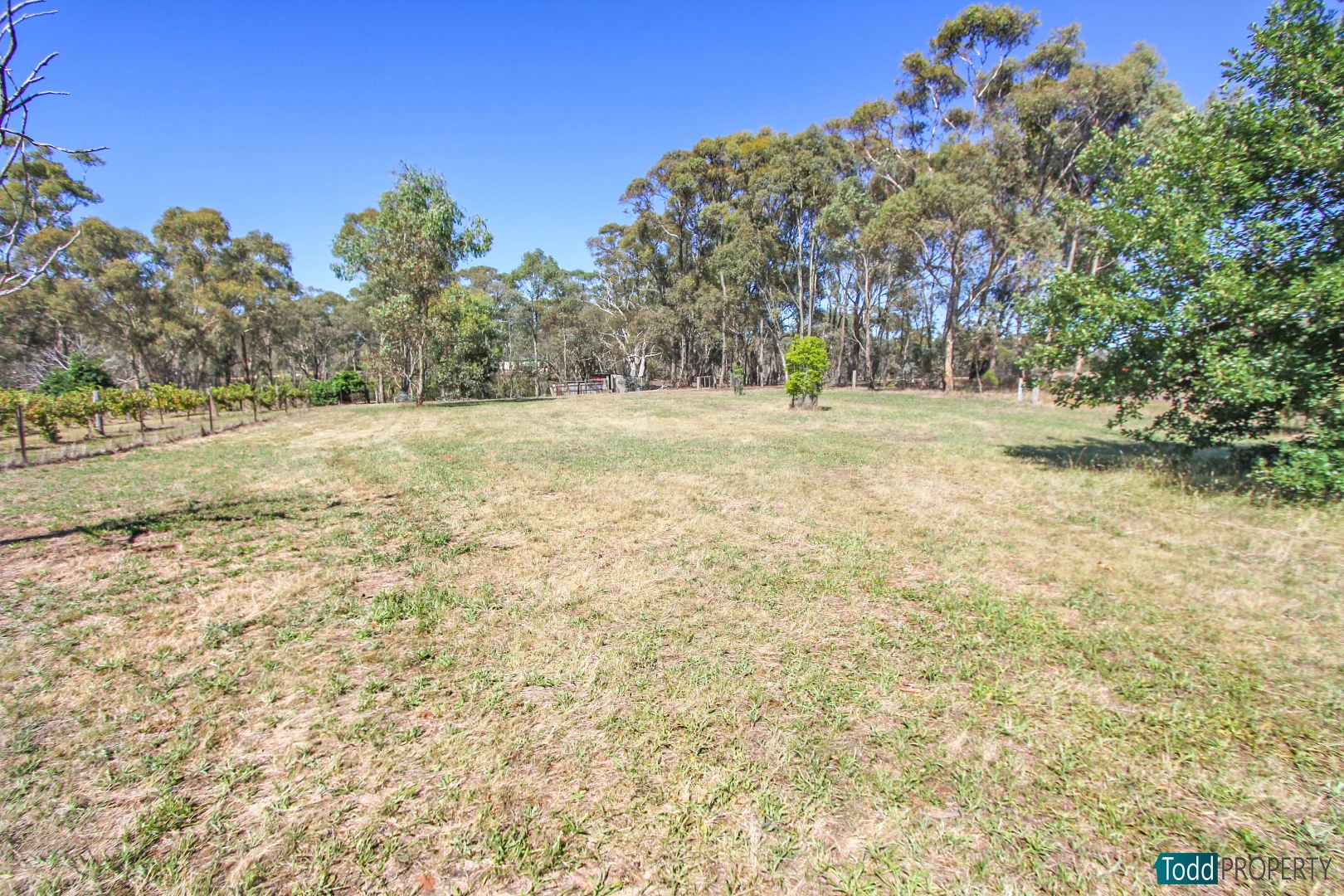 Additional image 3 of 2 Ellis Road, Heathcote VIC 3523