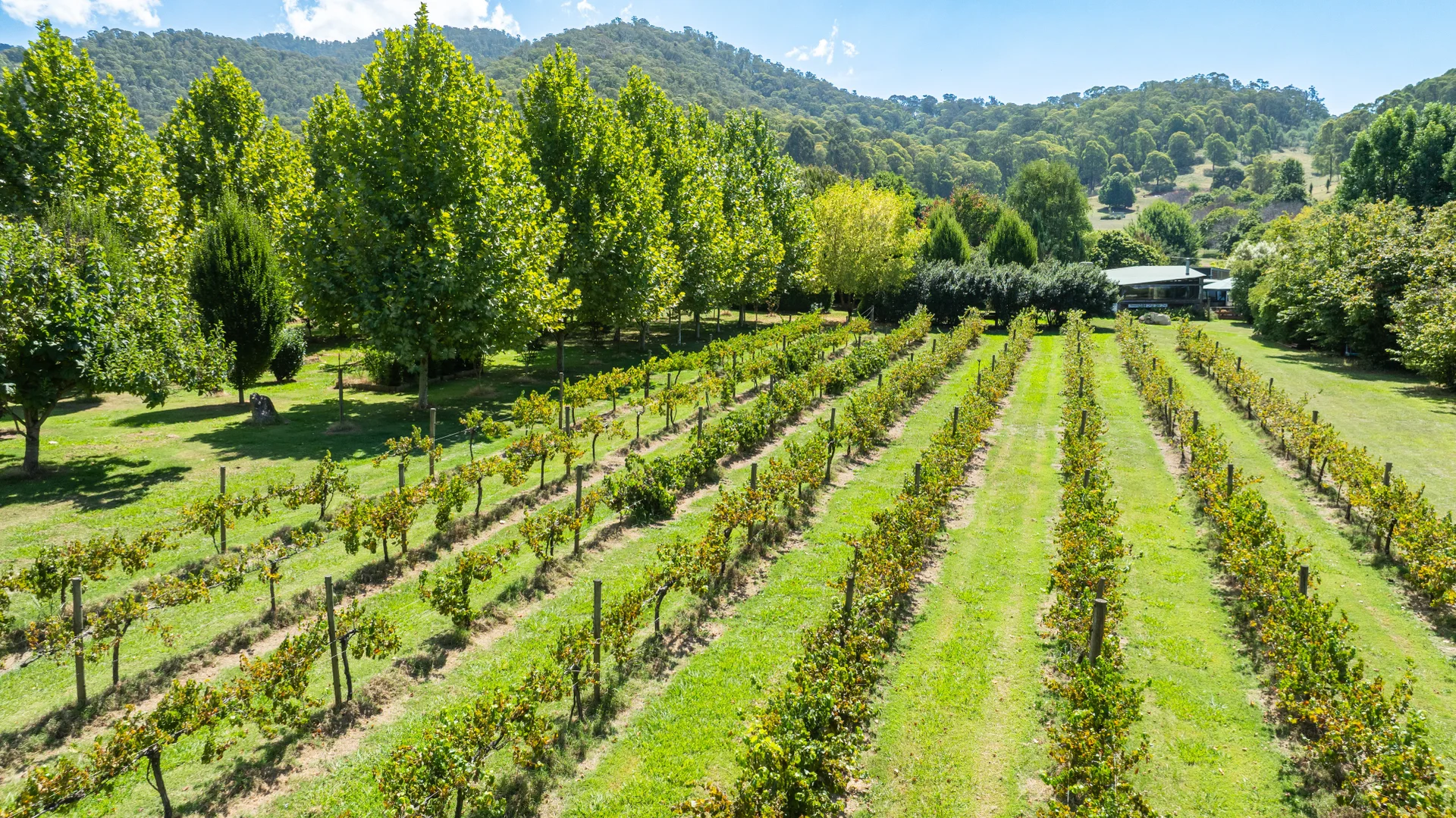 Additional image 3 of 217a Simmonds Creek Road, Tawonga South VIC 3698