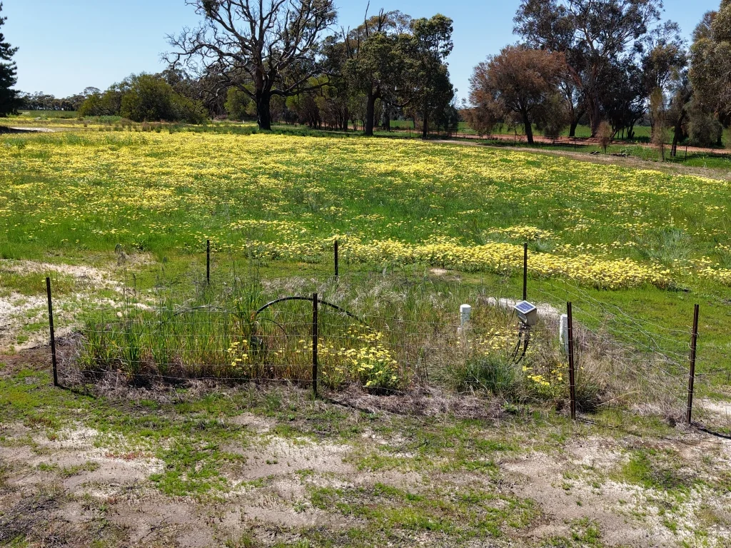 Additional image 49 of 1187 Dale - Kokeby Road, Kokeby WA 6304