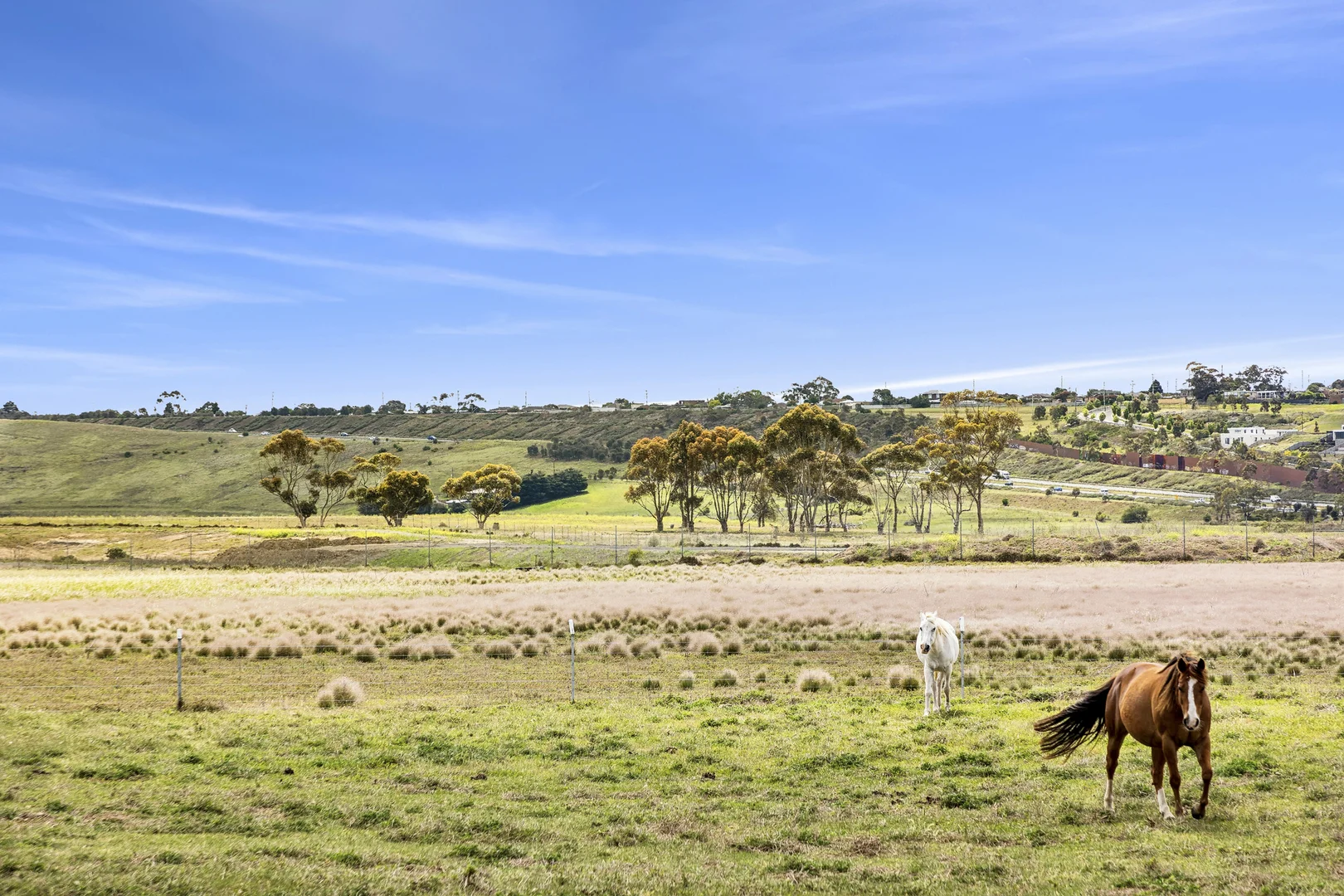 Additional image 7 of 41 Thoona Lane, Fyansford VIC 3218