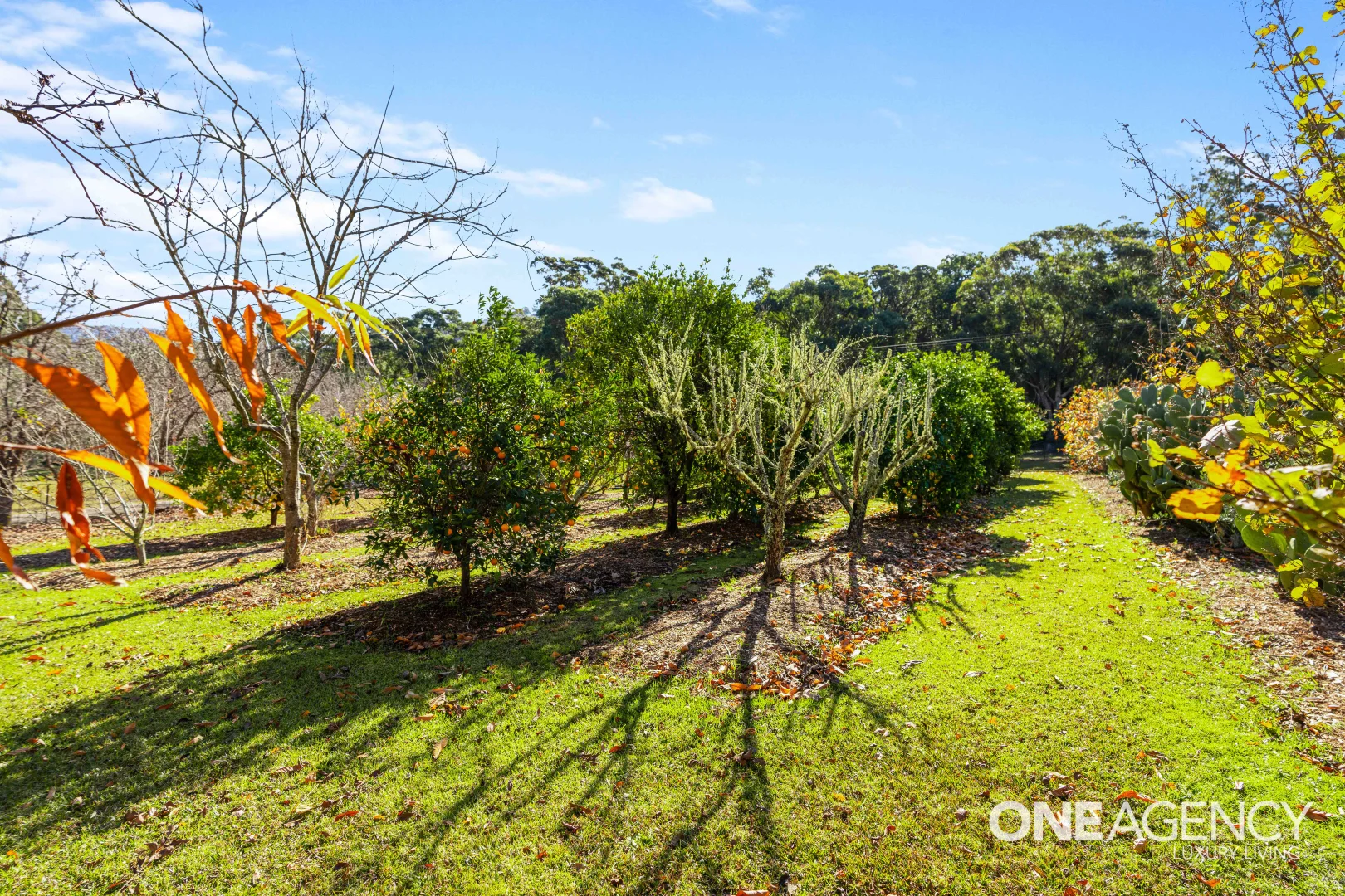 Additional image 18 of 353 Bendeela Road, Kangaroo Valley NSW 2577