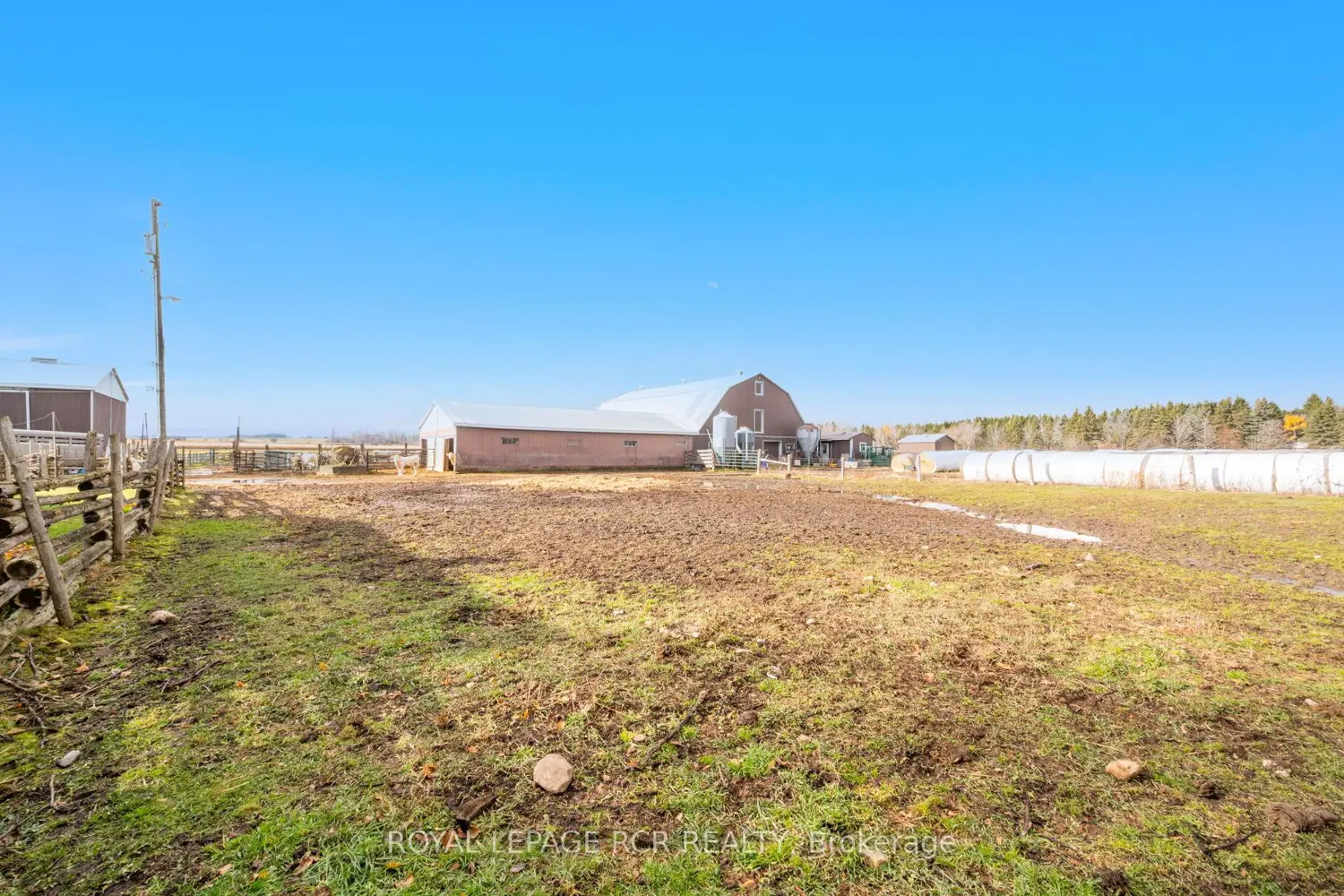 Additional image 17 of 553456 Mono Amaranth Townline