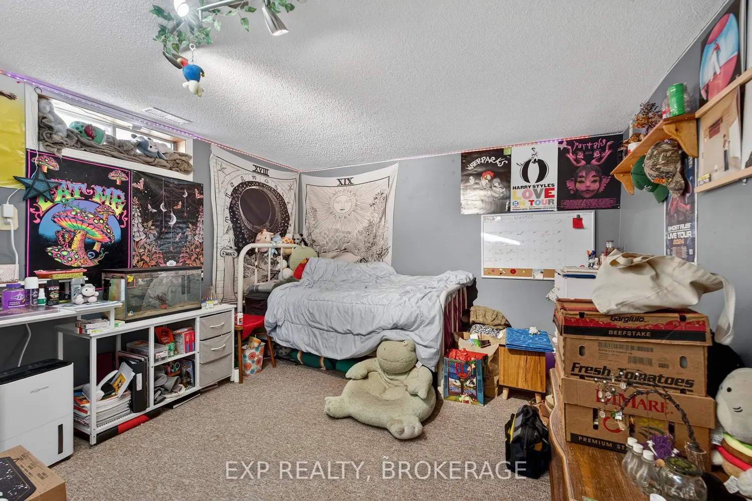 Additional image 12 of 340 Palace Road