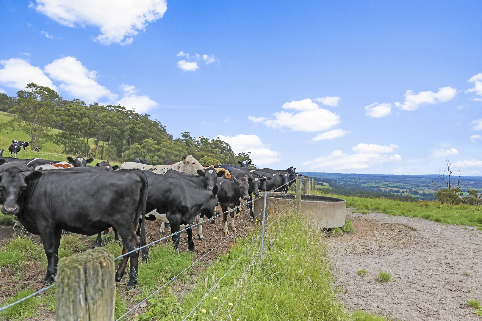 Additional image 20 of 244 Mirboo North-Trafalgar Road, Trafalgar South VIC 3824