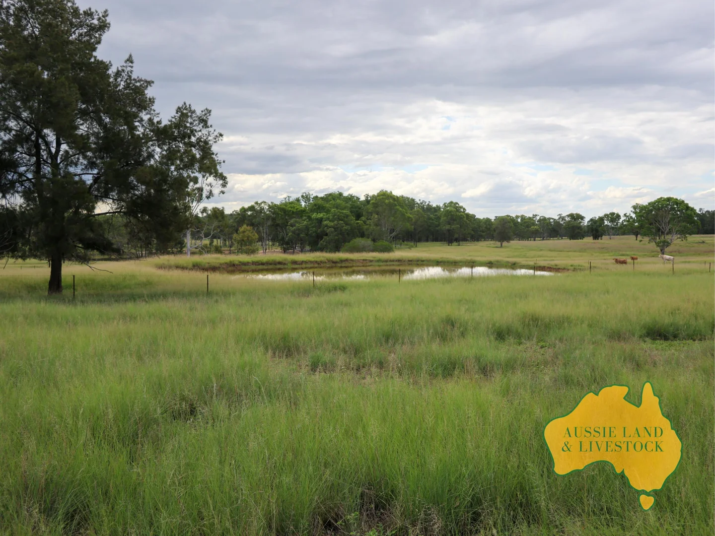 Additional image 69 of 629 Stuart Valley Drive, Haly Creek QLD 4610