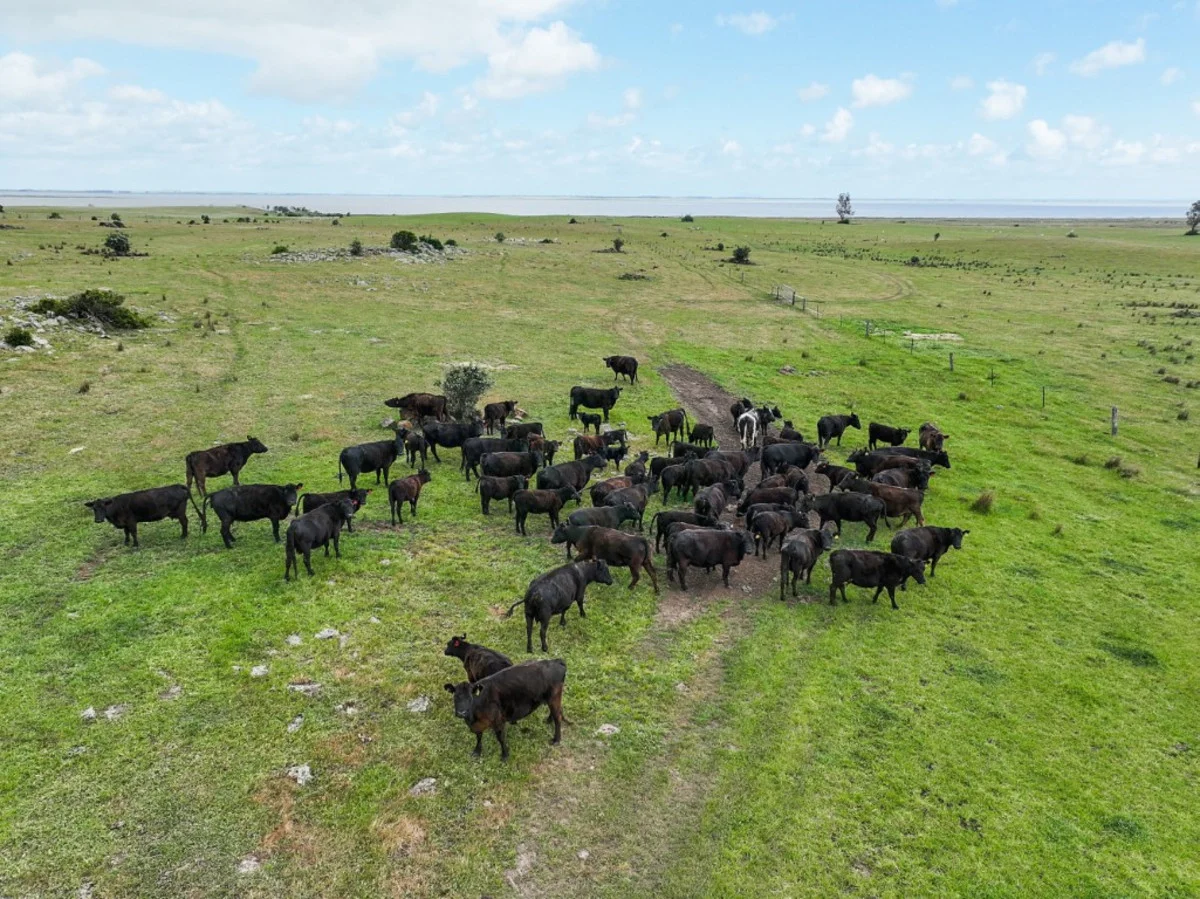 Additional image 4 of 745 South Dreeite Road, Dreeite South VIC 3249