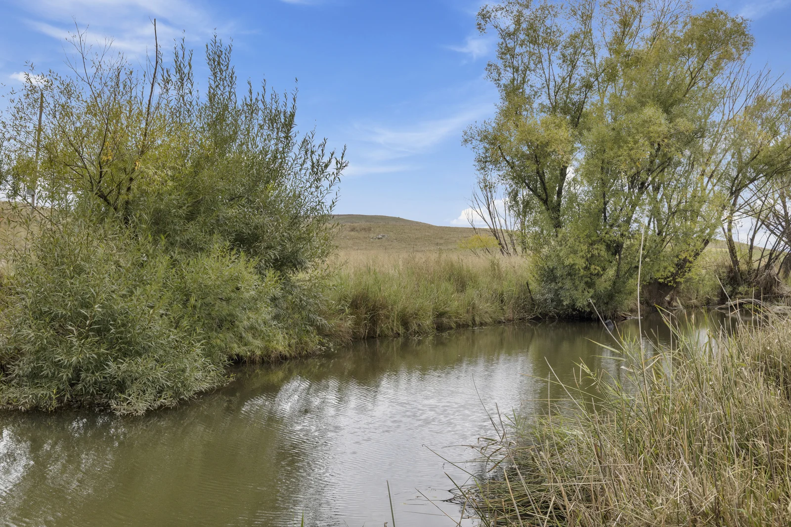 Additional image 3 of Lot 15 & 16 Barton Highway, Murrumbateman NSW 2582