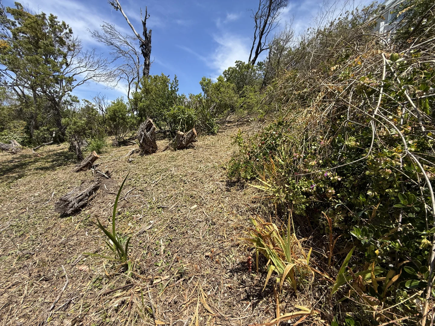 Additional image 12 of 20 Rodney Street, Rye VIC 3941