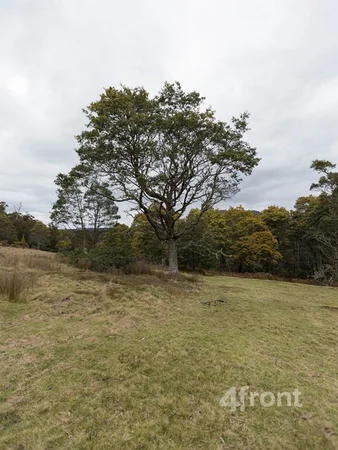 Additional image 11 of 1 and 2/141 Tiers View Road, Golden Valley TAS 7304