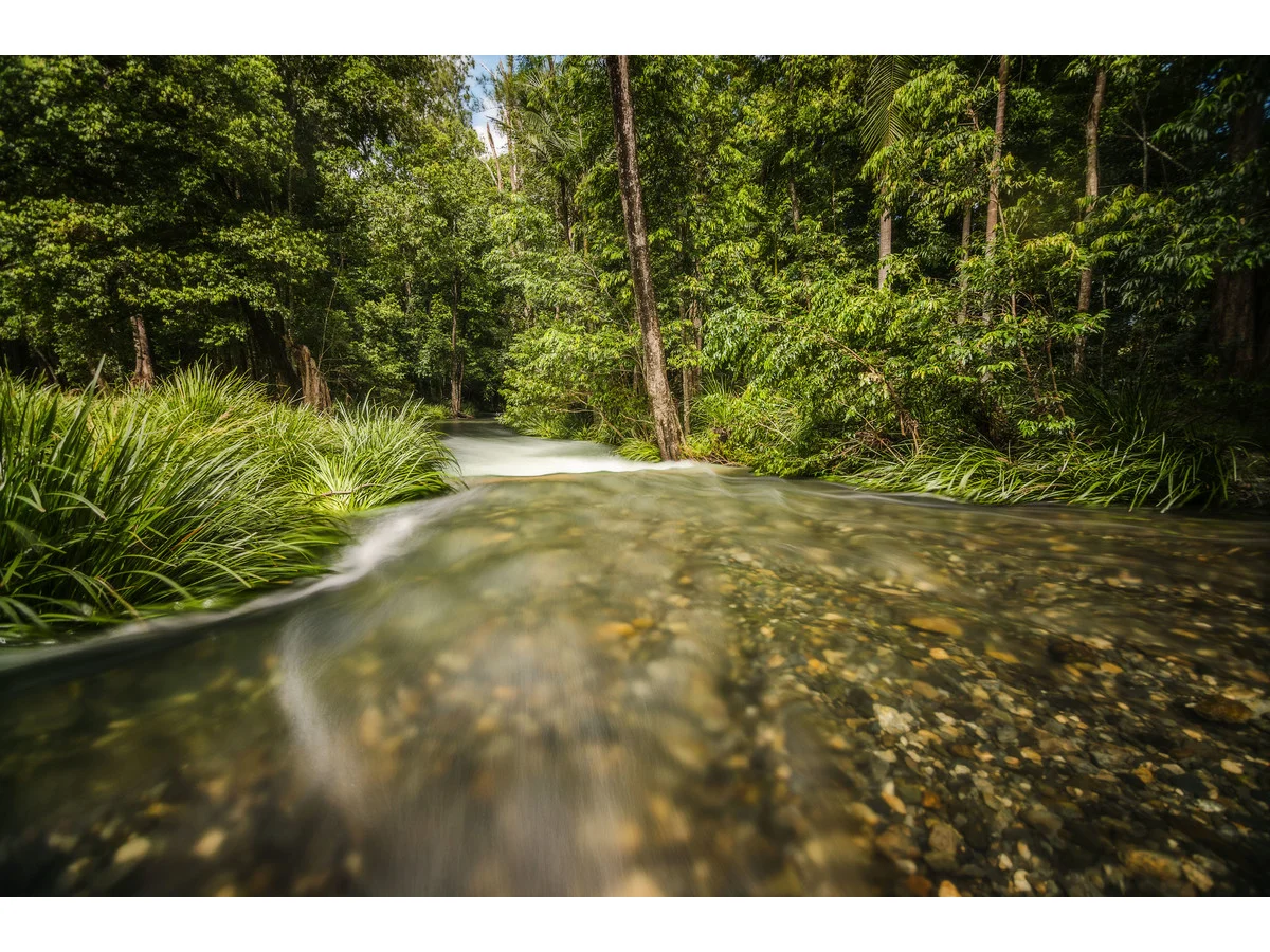 Additional image 6 of 930 promised land Road, Bellingen NSW 2454