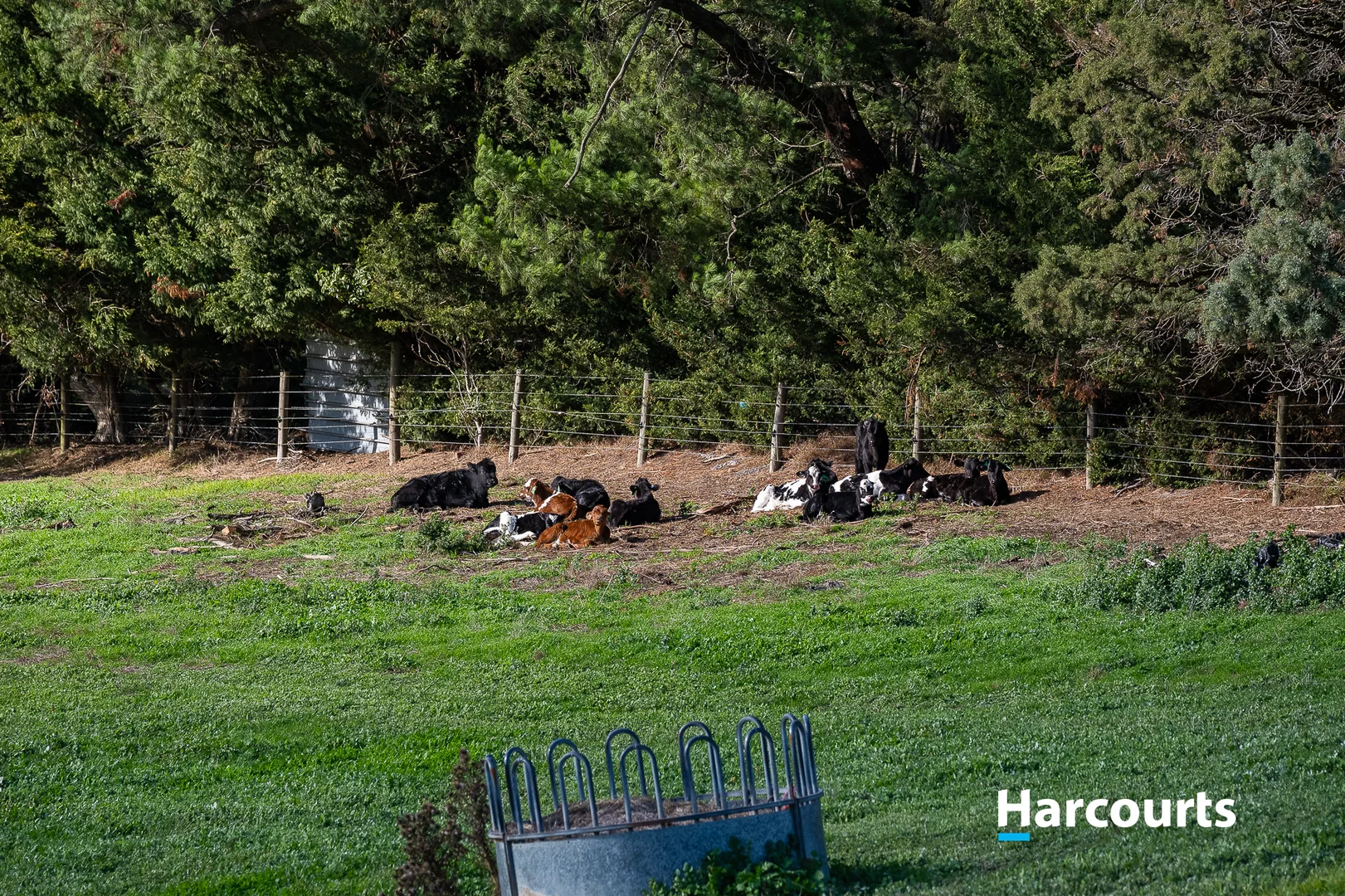 Additional image 42 of 37 Bells Road, Mount Eccles VIC 3953