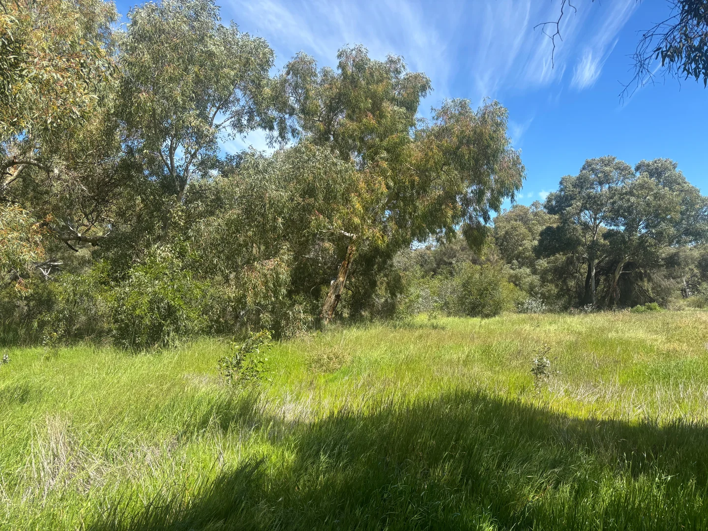 Additional image 6 of 9500 Chapman Valley Road, Narra Tarra WA 6532