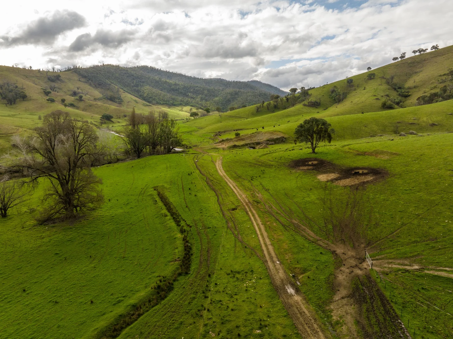 Additional image 11 of 'Rockview' 400 Horse Creek Road, Jingellic NSW 2642