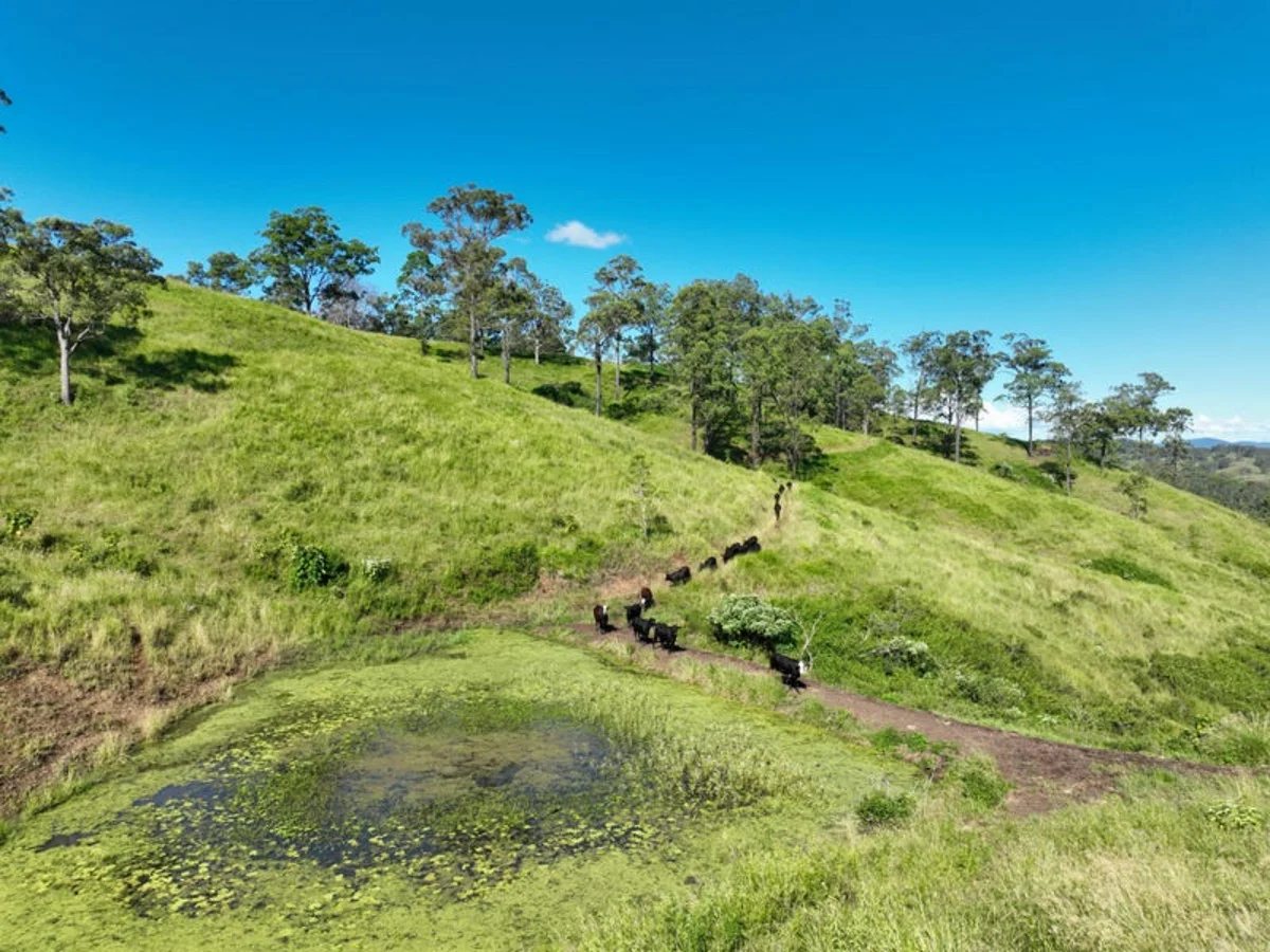 Additional image 6 of 59 Wyndham Road, Wyneden NSW 2474