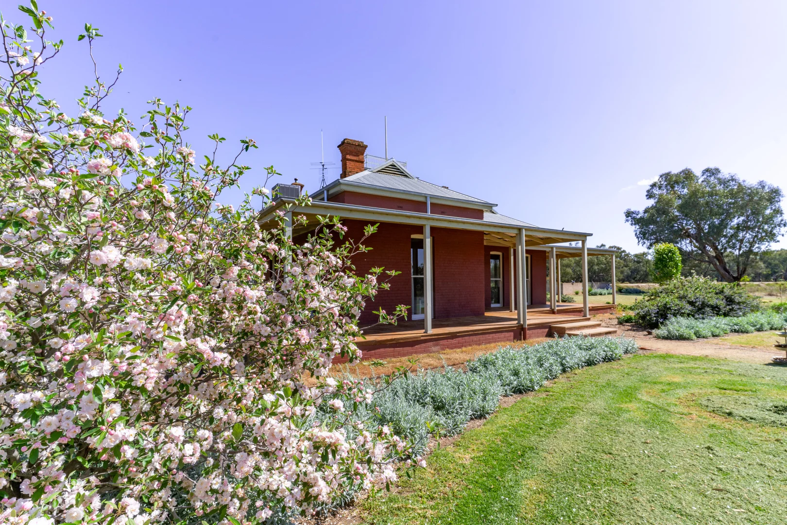 Additional image 41 of 362 Morangarell Road, West Wyalong NSW 2671