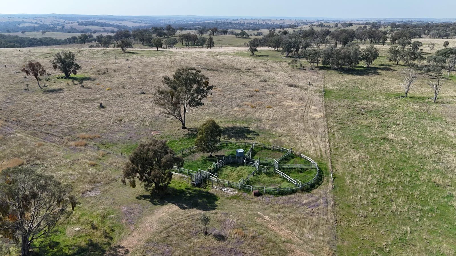 Additional image 31 of "Coolendoon" 810 The Pocket Road, Bukkulla NSW 2360