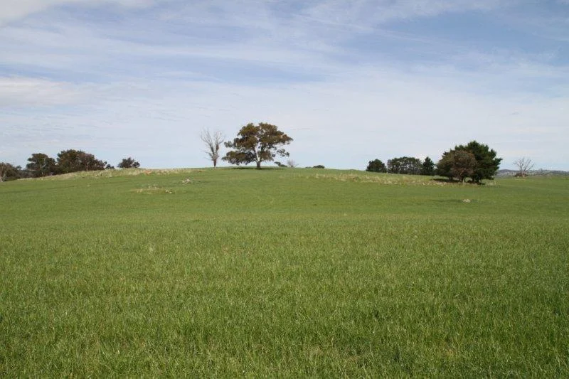 Additional image 4 of 3/83 Yass Valley Way, Manton NSW 2582