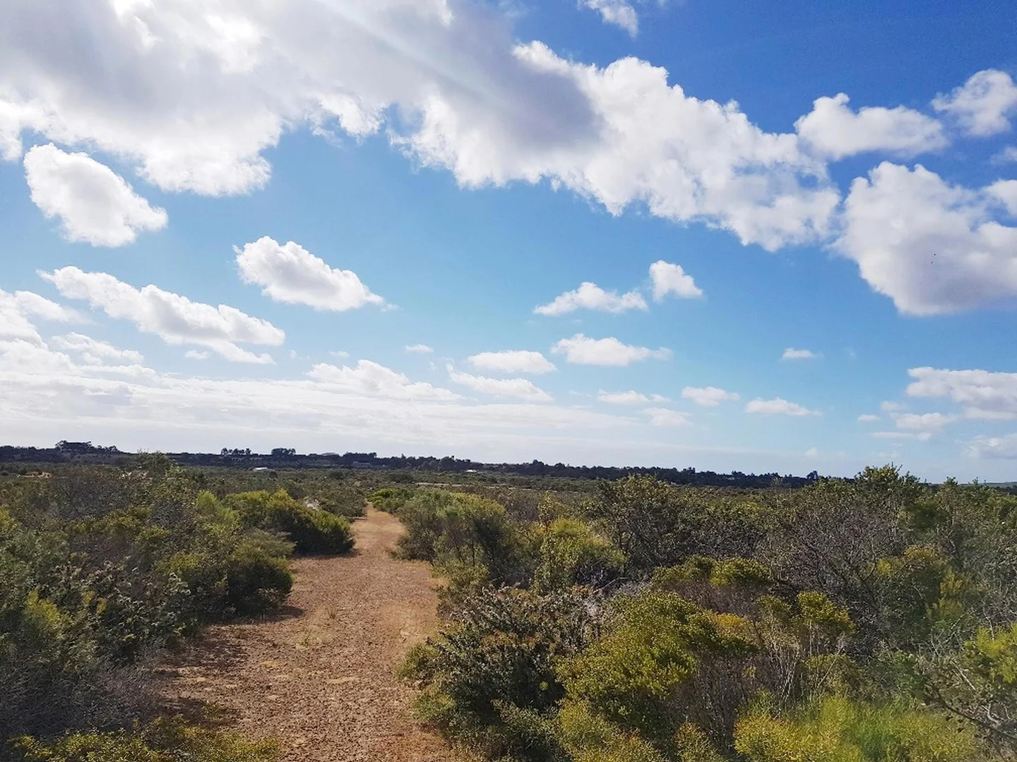 Additional image 6 of 277 PREMIER Drive, Jurien Bay WA 6516