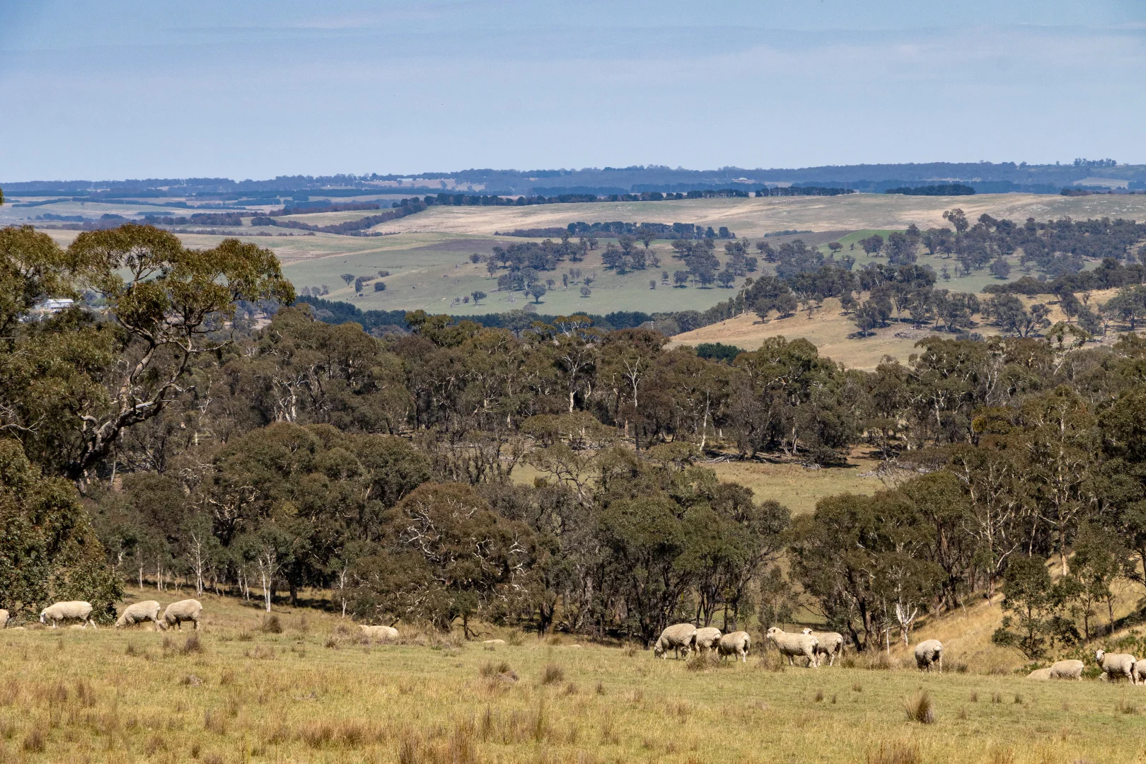 Additional image 3 of 1169 Golspie Road, Taralga NSW 2580