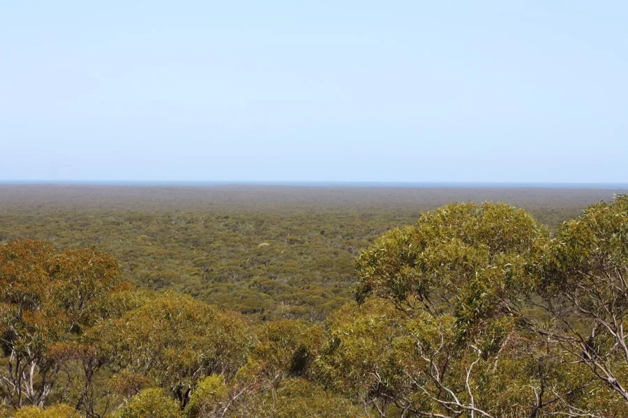 Additional image 13 of Section 6 Old Telegraph Road, Midgee SA 5602