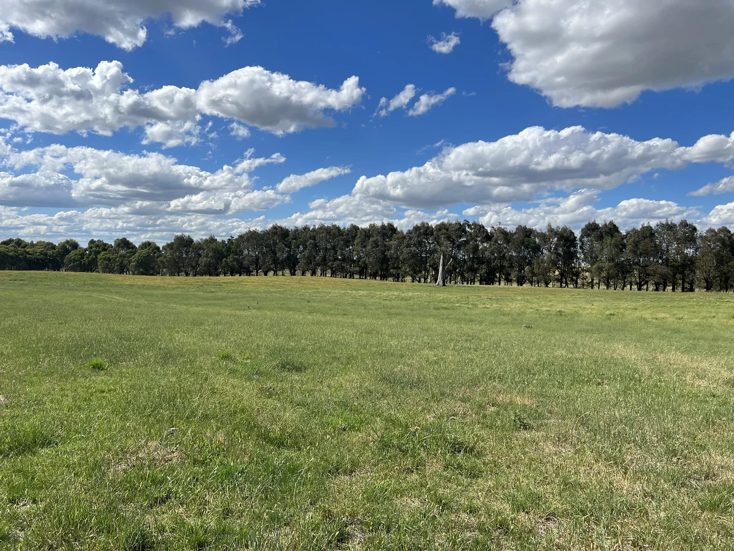 Additional image 35 of Lot 1 Mount Rae Road, Roslyn, Crookwell NSW 2583