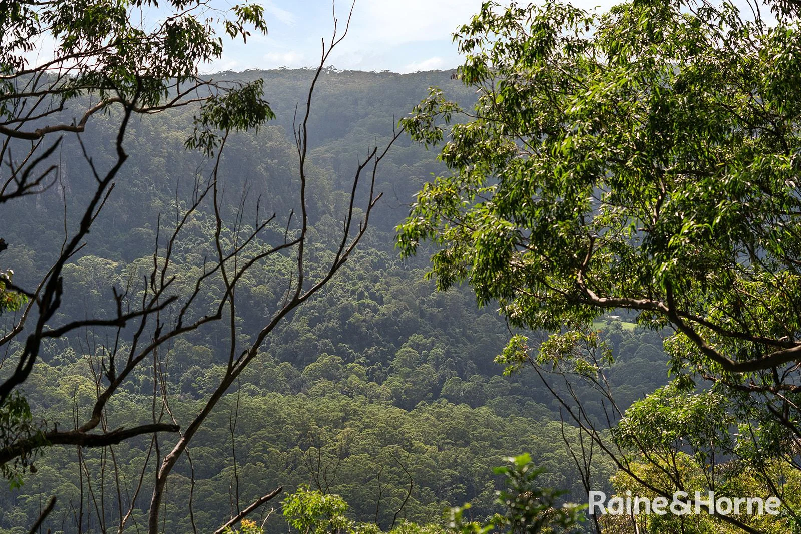 Additional image 21 of Lot 1 Selbys Road, Budgong NSW 2577