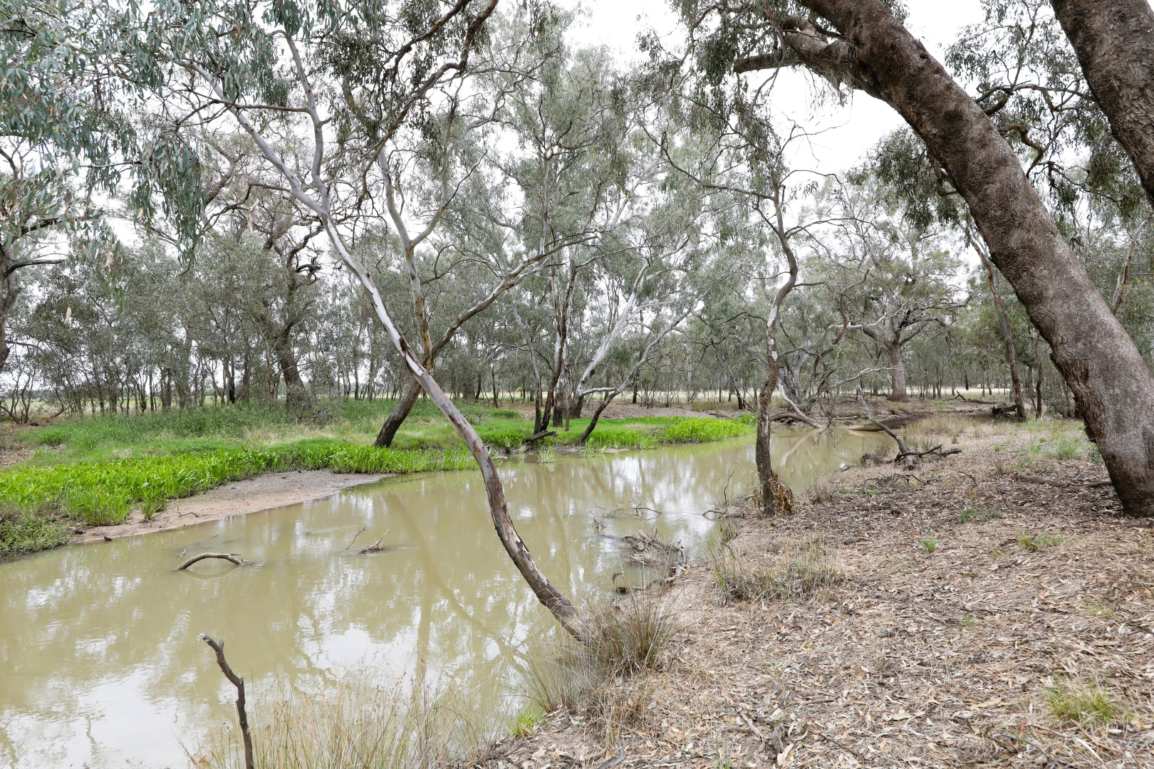 Additional image 3 of 83 Gribben Road, Invergordon VIC 3636