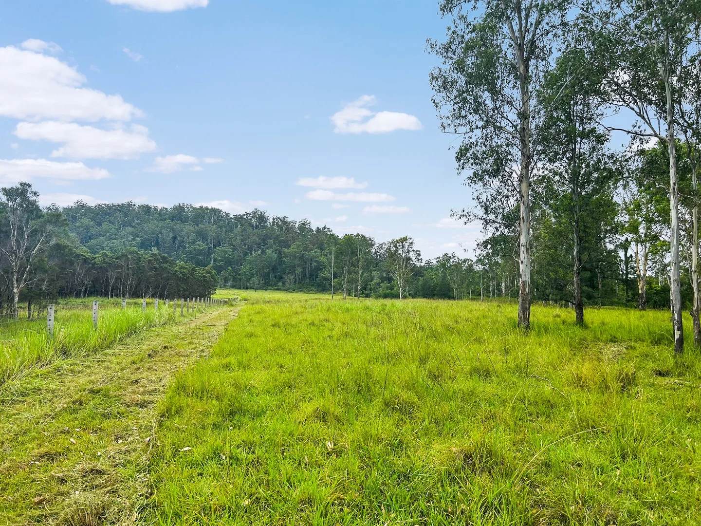 Lot 12 Busbys Flat Road, Busbys Flat NSW 2469