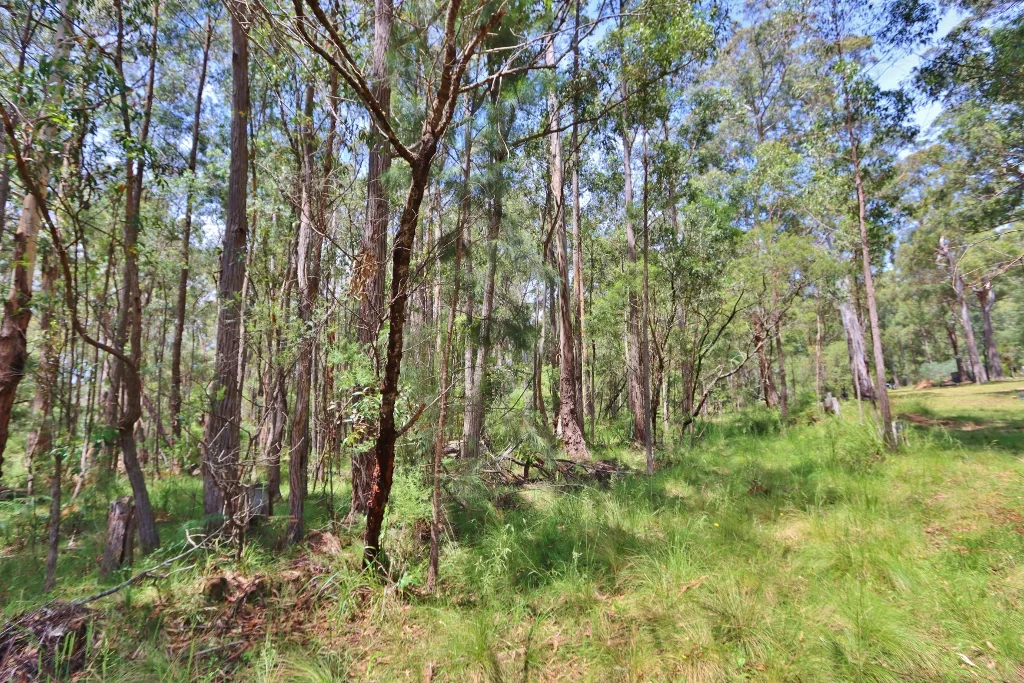 Additional image 7 of 2844 Mt Darragh Road, Wyndham NSW 2550
