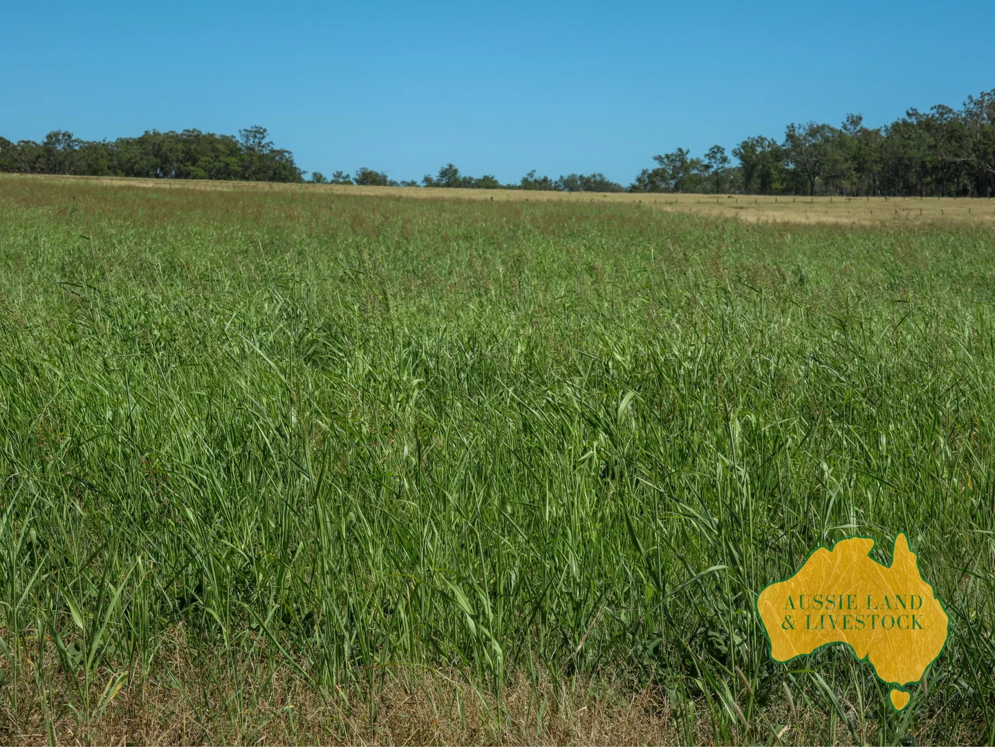 Additional image 4 of 629 Stuart Valley Drive, Haly Creek QLD 4610