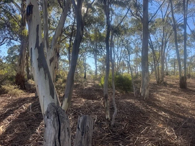 Additional image 12 of 2-20 Godfrey Street, Wedderburn VIC 3518