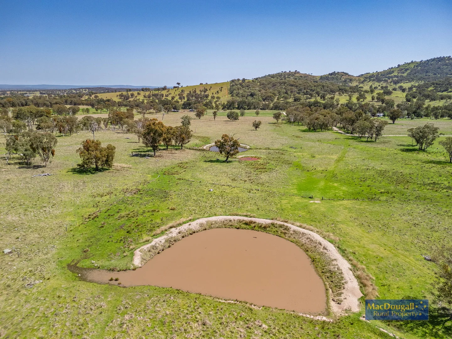 Additional image 30 of 384 Dry Creek Road, Georges Creek NSW 2365