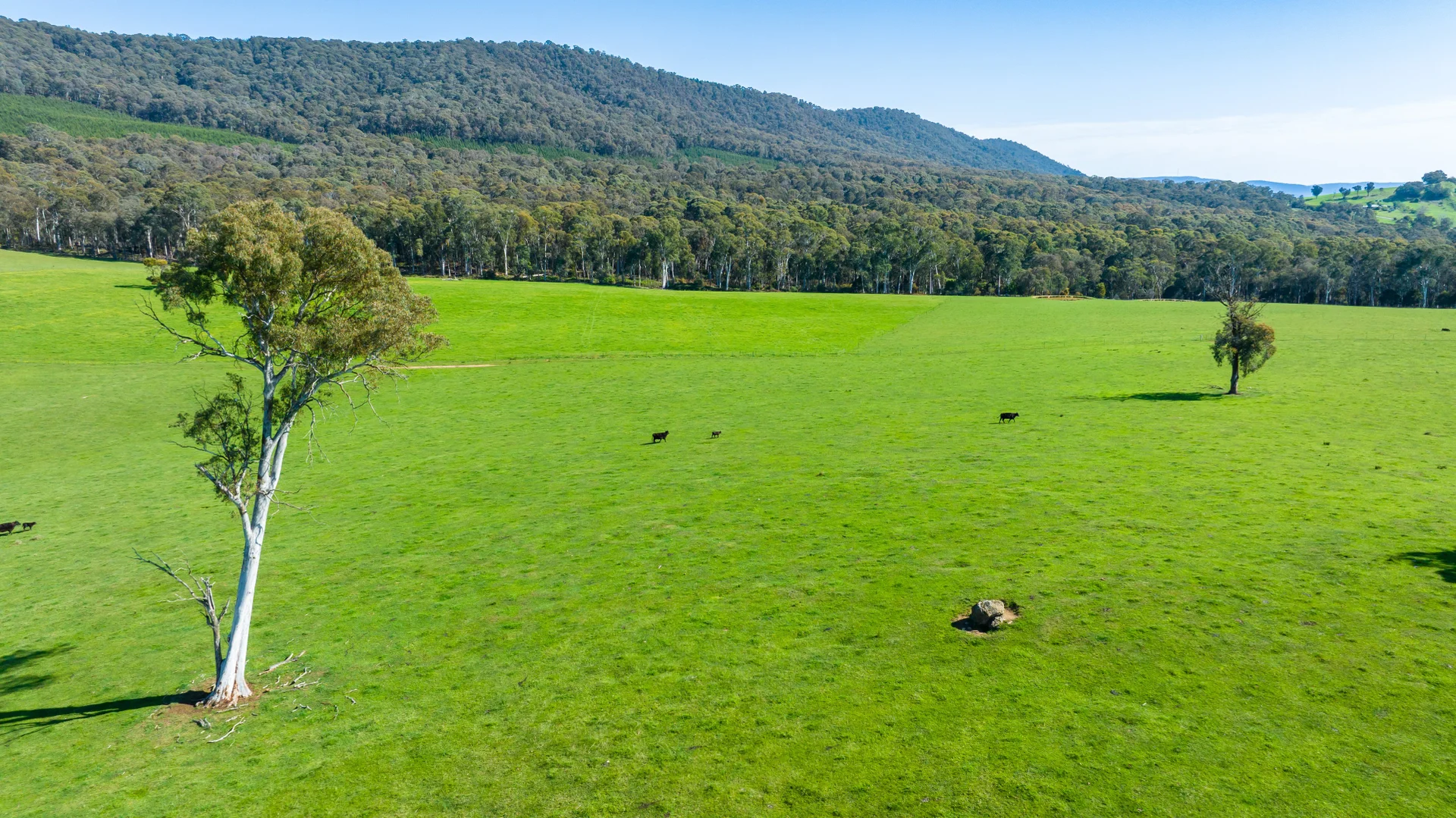 Additional image 11 of 130 Martin Lane, Yackandandah VIC 3749