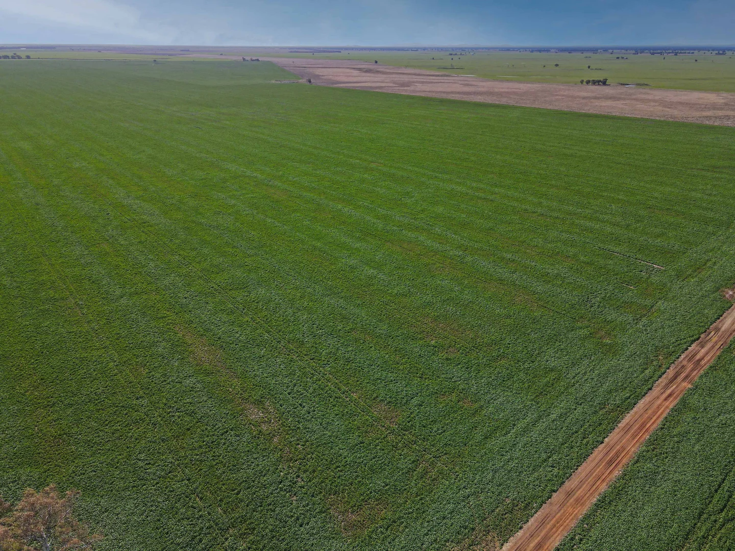 Additional image 13 of 'Williams Crossing' 139 Harris Lane, Quandialla NSW 2721