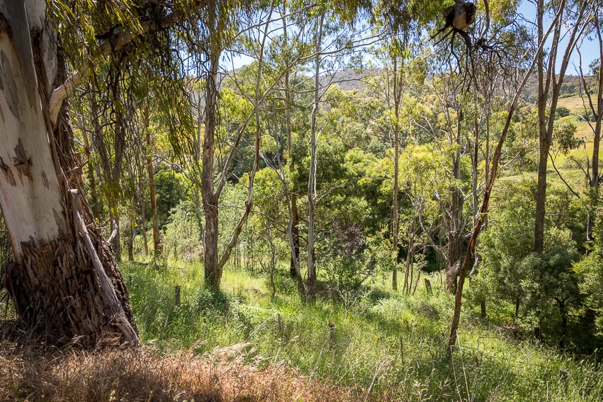 Additional image 13 of Lots 4 & 8 Tatong-Tolmie Rd, Tatong VIC 3673