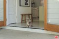 Additional image 19 of 1163 Nelrose Ave, Venice, CA, 90291