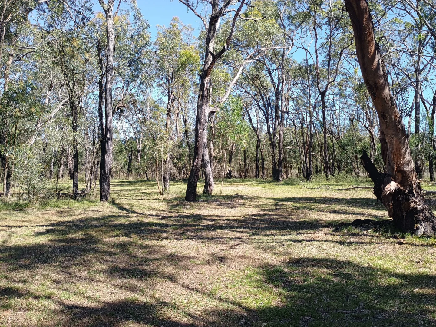 Additional image 4 of Coolah NSW 2843