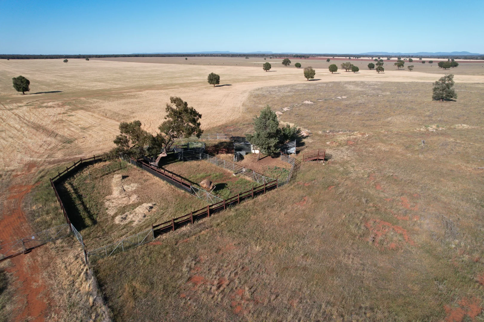 Additional image 10 of 'Boree Glen' 456 Whymarks Lane, Tullibigeal NSW 2669