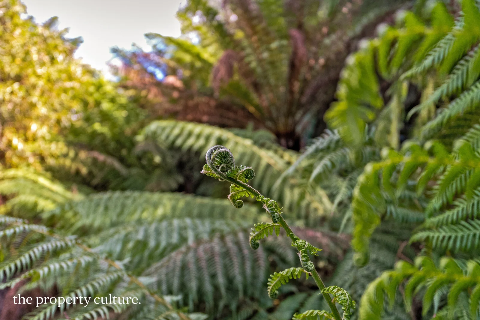 Additional image 16 of 126 New Road, Franklin TAS 7113