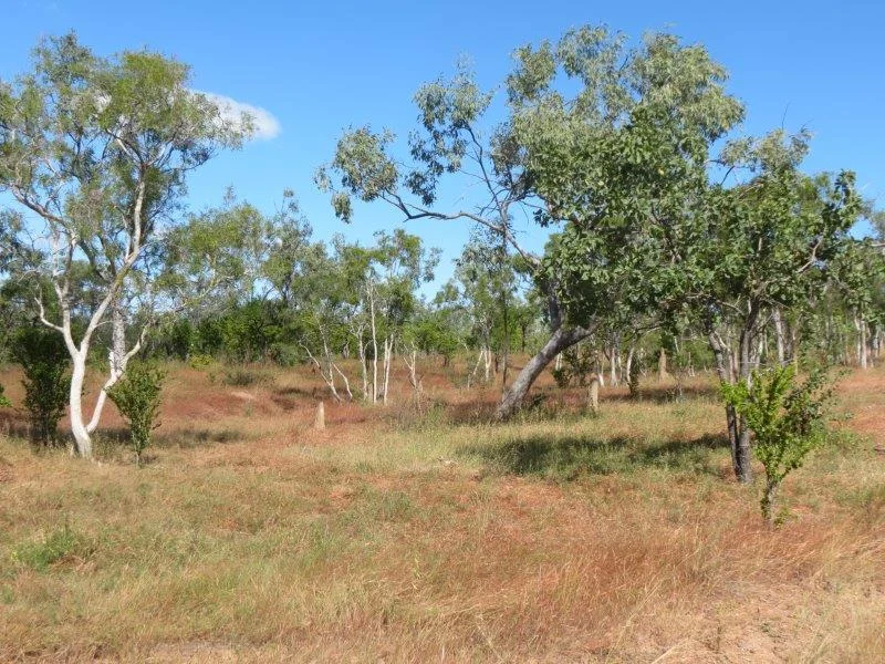 Additional image 16 of Van Lee Station, Mount Surprise QLD 4871