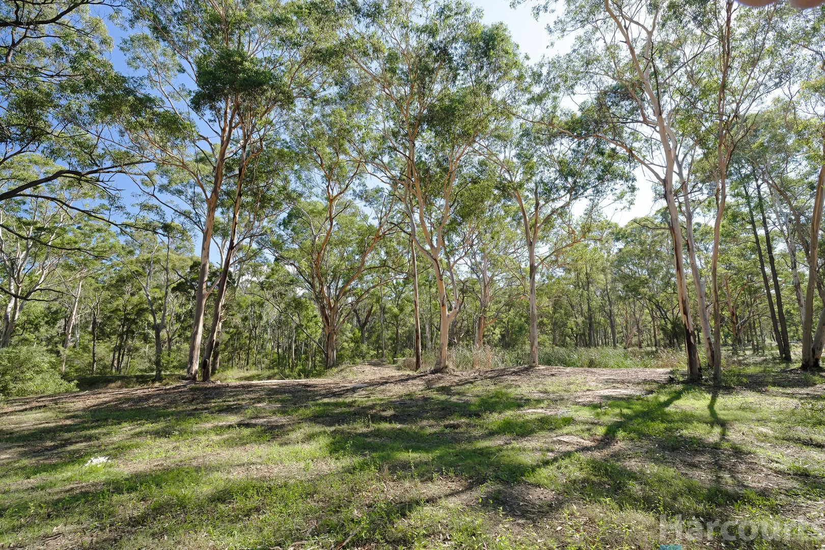 Additional image 14 of 75 Church Street, Abermain NSW 2326