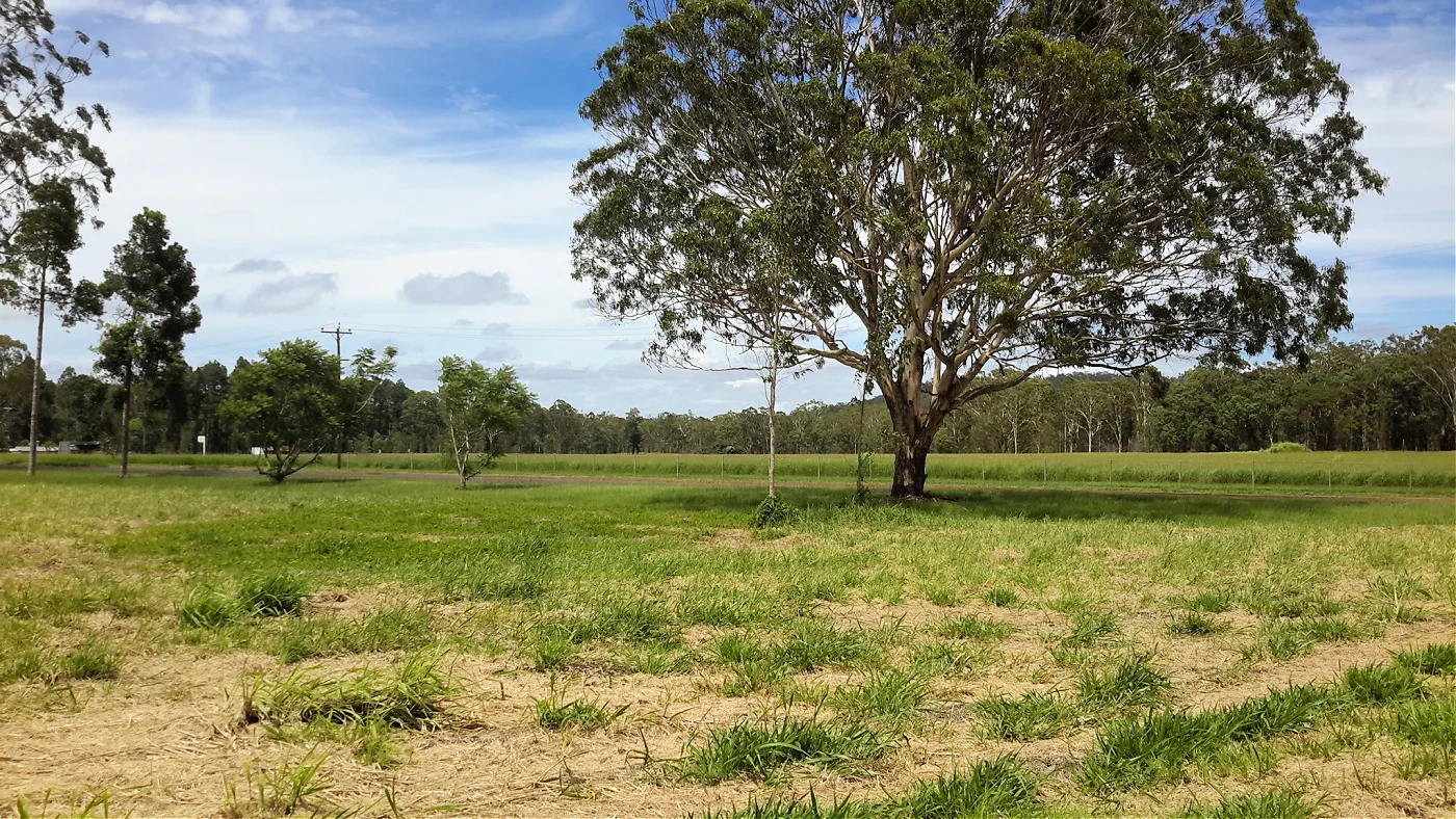 Additional image 3 of LOT 12 Carrick St, Ravenshoe QLD 4888