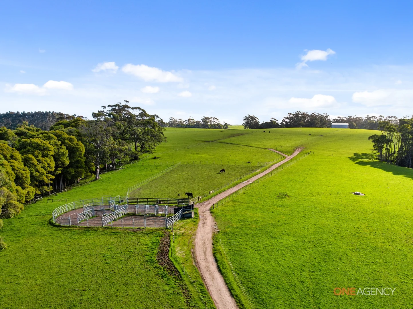 Additional image 8 of 450 Irishtown Road, Irishtown TAS 7330