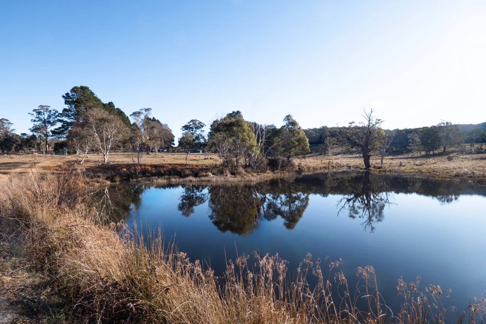 Additional image 4 of 1974 Tuross Road, Kybeyan NSW 2631