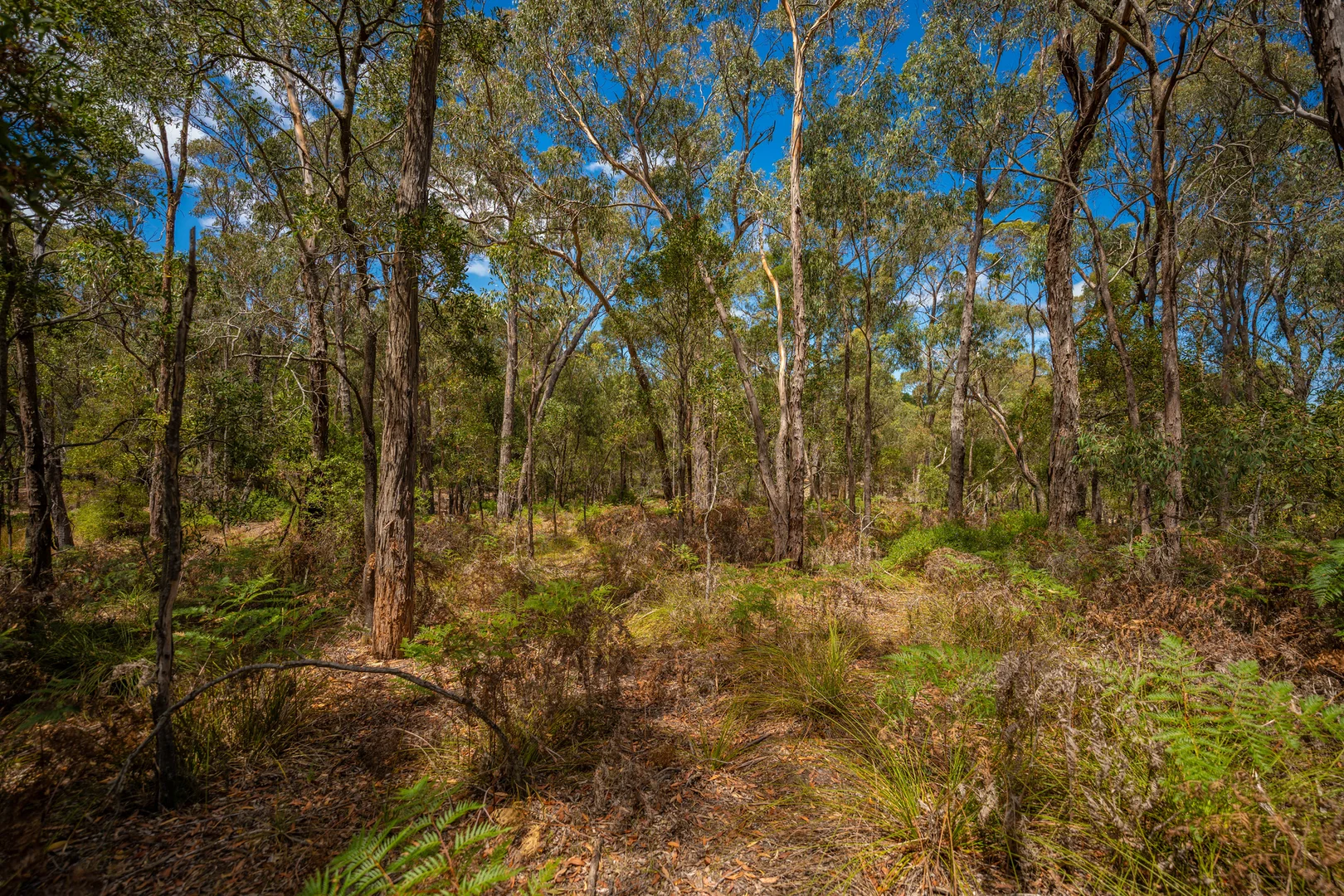 Additional image 13 of 30 Woodland Drive, Scarsdale VIC 3351